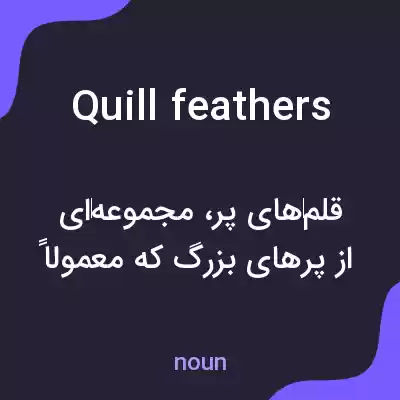 معنی quill feathers به فارسی معنی quill feathers به فارسی