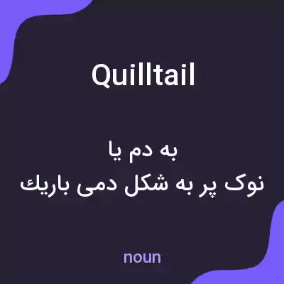 معنی quilltail به فارسی معنی quilltail به فارسی