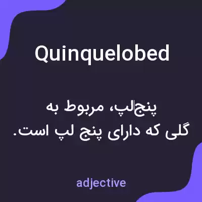 معنی quinquelobed به فارسی معنی quinquelobed به فارسی