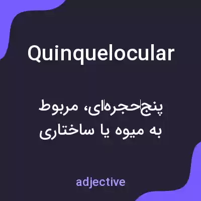 معنی quinquelocular به فارسی معنی quinquelocular به فارسی