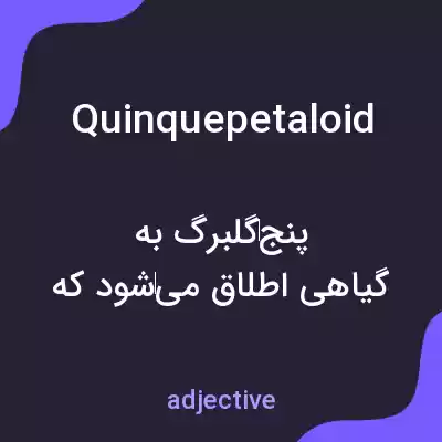 معنی quinquepetaloid به فارسی معنی quinquepetaloid به فارسی