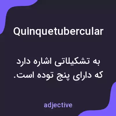 معنی quinquetubercular به فارسی معنی quinquetubercular به فارسی