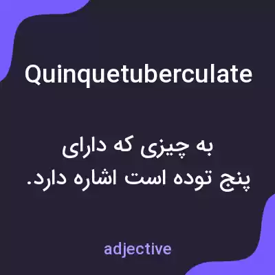 معنی quinquetuberculate به فارسی معنی quinquetuberculate به فارسی