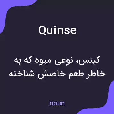 معنی quinse به فارسی معنی quinse به فارسی