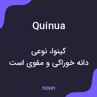 معنی quinua به فارسی معنی quinua به فارسی