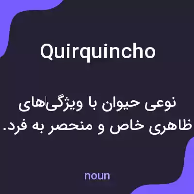 معنی quirquincho به فارسی معنی quirquincho به فارسی