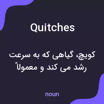 معنی quitches به فارسی معنی quitches به فارسی