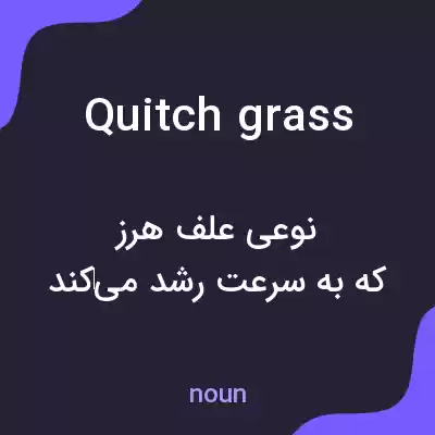 معنی quitch grass به فارسی معنی quitch grass به فارسی