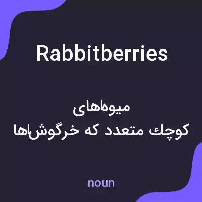 معنی rabbitberries به فارسی
