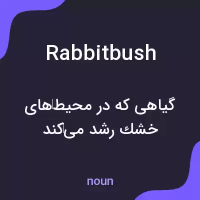 معنی rabbitbush به فارسی معنی rabbitbush به فارسی