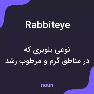معنی rabbiteye به فارسی معنی rabbiteye به فارسی