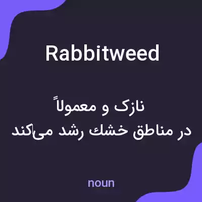 معنی rabbitweed به فارسی معنی rabbitweed به فارسی