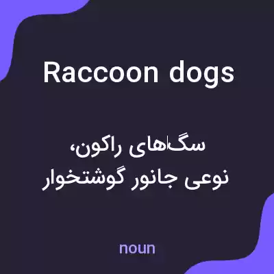 معنی raccoon dogs به فارسی معنی raccoon dogs به فارسی