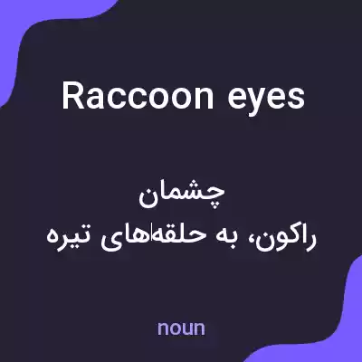 معنی raccoon eyes به فارسی معنی raccoon eyes به فارسی