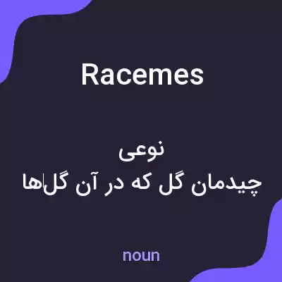 معنی racemes به فارسی معنی racemes به فارسی