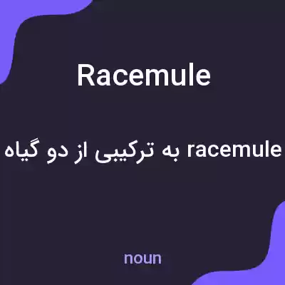 معنی racemule به فارسی معنی racemule به فارسی