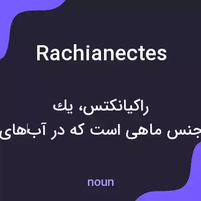 معنی rachianectes به فارسی معنی rachianectes به فارسی