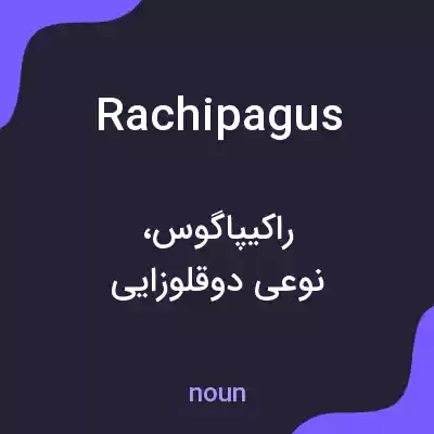 معنی rachipagus به فارسی معنی rachipagus به فارسی