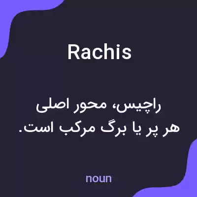 معنی rachis به فارسی معنی rachis به فارسی
