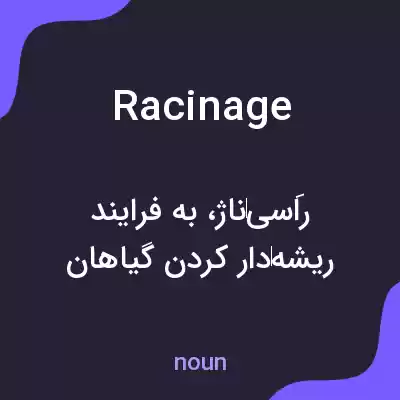 معنی racinage به فارسی معنی racinage به فارسی