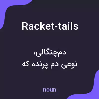 معنی racket-tails به فارسی معنی racket-tails به فارسی