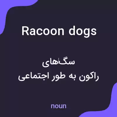 معنی racoon dogs به فارسی معنی racoon dogs به فارسی