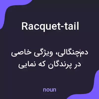 معنی racquet-tail به فارسی معنی racquet-tail به فارسی