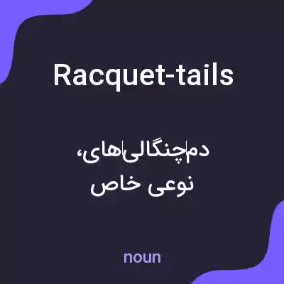 معنی racquet-tails به فارسی معنی racquet-tails به فارسی