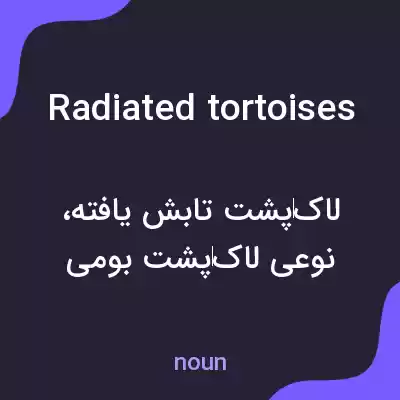 معنی radiated tortoises به فارسی معنی radiated tortoises به فارسی