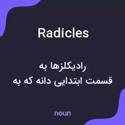 معنی radicles به فارسی معنی radicles به فارسی
