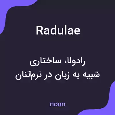 معنی radulae به فارسی