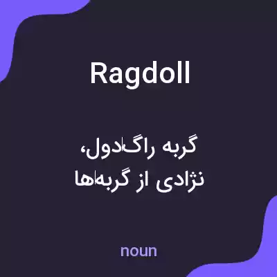 معنی ragdoll به فارسی معنی ragdoll به فارسی