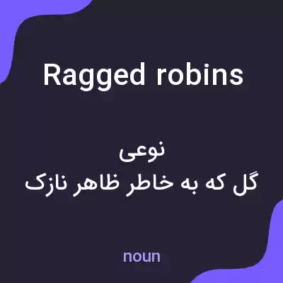 معنی ragged robins به فارسی معنی ragged robins به فارسی