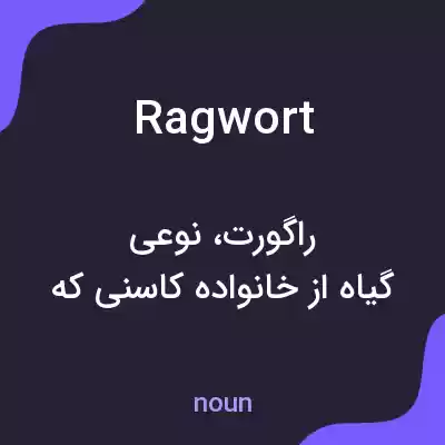 معنی ragwort به فارسی