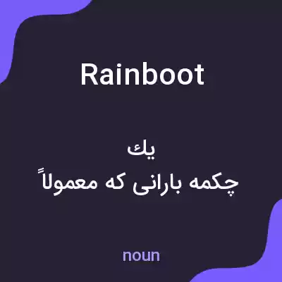 معنی rain boot به فارسی معنی rain boot به فارسی