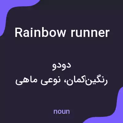 معنی rainbow runner به فارسی معنی rainbow runner به فارسی