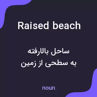 معنی raised beach به فارسی معنی raised beach به فارسی