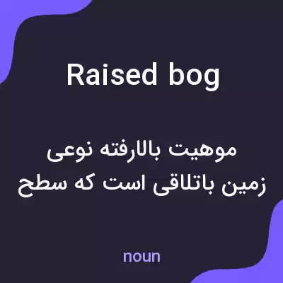 معنی raised bog به فارسی