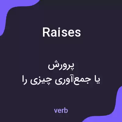 معنی raises به فارسی معنی raises به فارسی