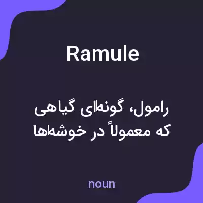 معنی ramule به فارسی معنی ramule به فارسی