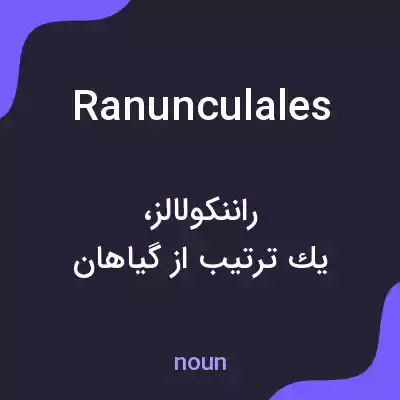 معنی ranunculales به فارسی