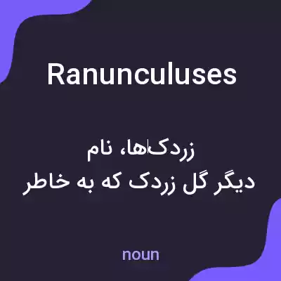 معنی ranunculuses به فارسی معنی ranunculuses به فارسی
