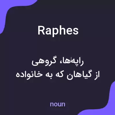 معنی raphes به فارسی معنی raphes به فارسی