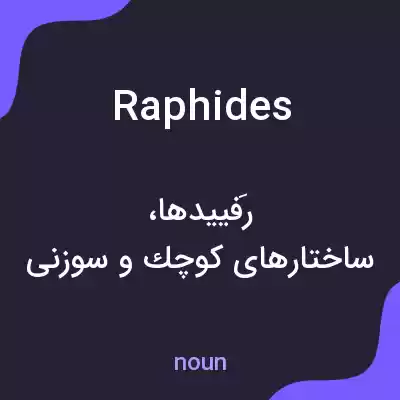 معنی raphides به فارسی معنی raphides به فارسی