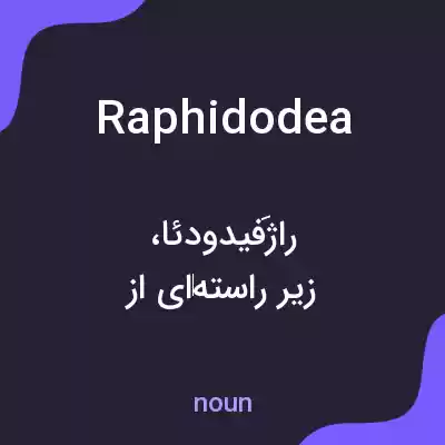 معنی raphidodea به فارسی معنی raphidodea به فارسی