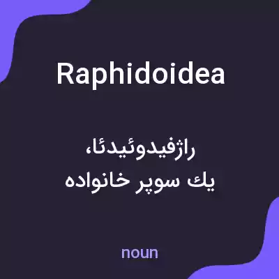 معنی raphidoidea به فارسی معنی raphidoidea به فارسی