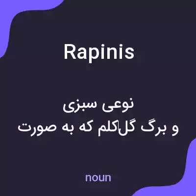 معنی rapinis به فارسی معنی rapinis به فارسی