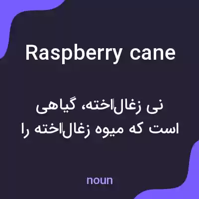 معنی raspberry cane به فارسی معنی raspberry cane به فارسی