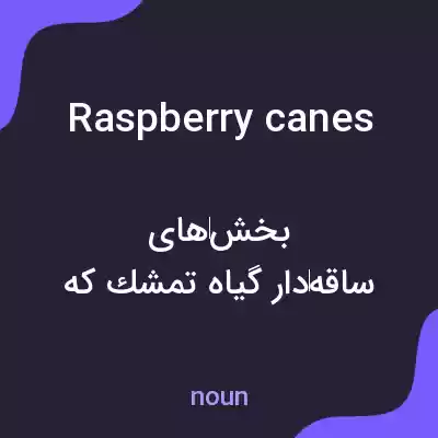 معنی raspberry canes به فارسی معنی raspberry canes به فارسی
