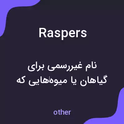 معنی raspers به فارسی معنی raspers به فارسی